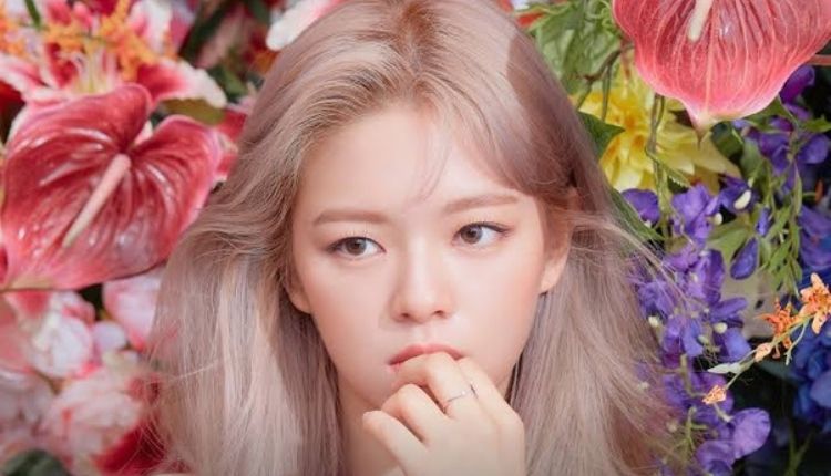 Jeongyeon Weight And Height