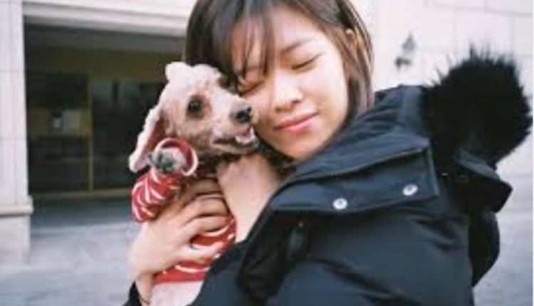 jeongyeon dogs